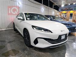 بي واي دي سيل 06 DM-i